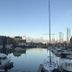 Dış görünüm