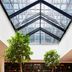 Lobi