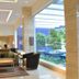 Lobi