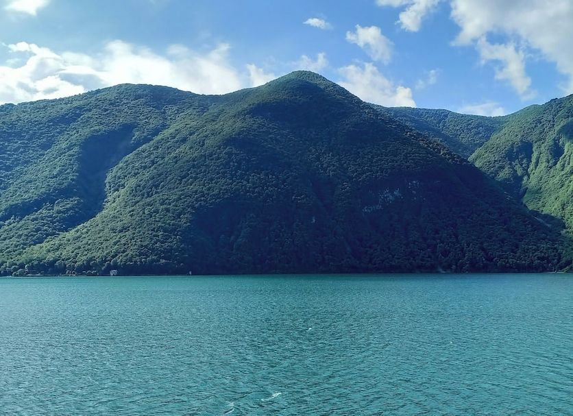 Diğer Fotoğraf