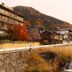 Dış görünüm