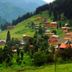 Dış görünüm