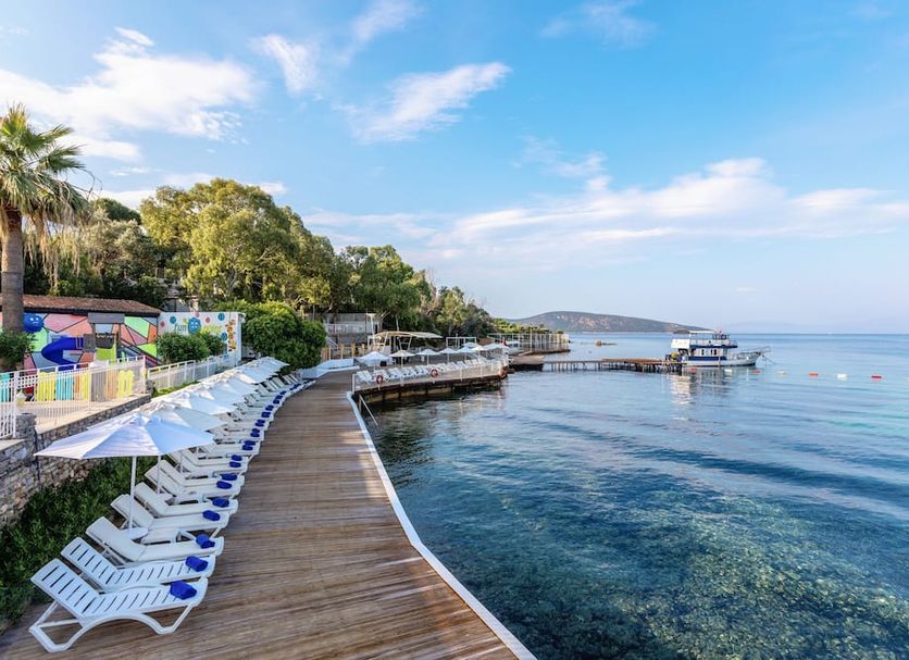 Diğer Fotoğraf