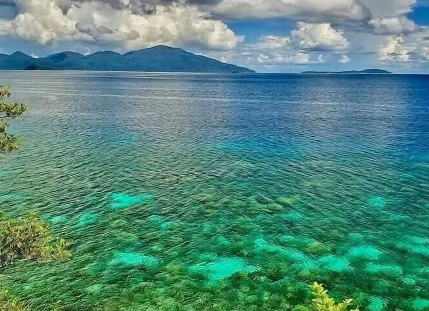 Diğer Fotoğraf