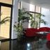Lobi
