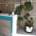 Resepsiyon