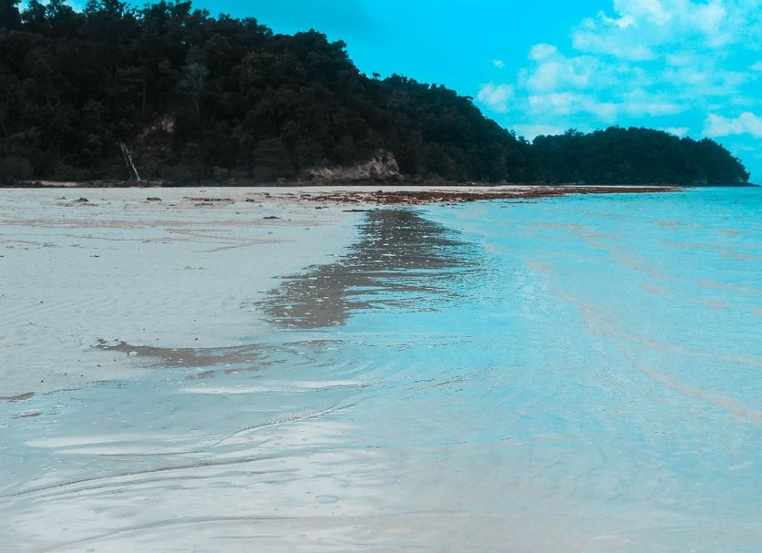Plaj Fotoğraf