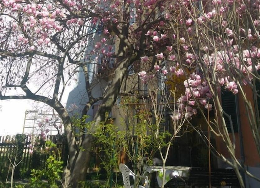Dış görünüm Fotoğraf